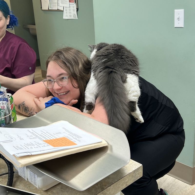 veterinary staff pet patient stories